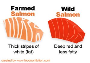 Farmed Salmon