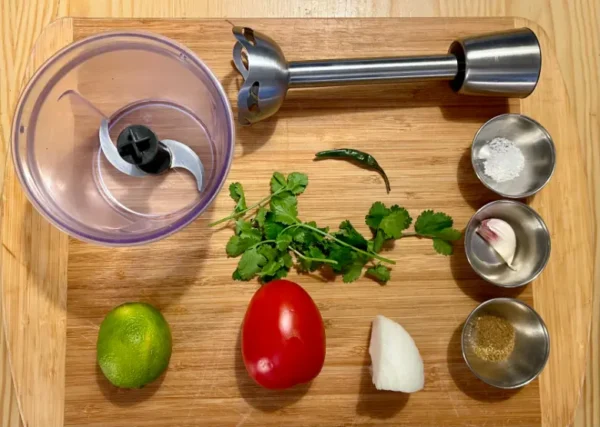 pico de gallo stick mixer