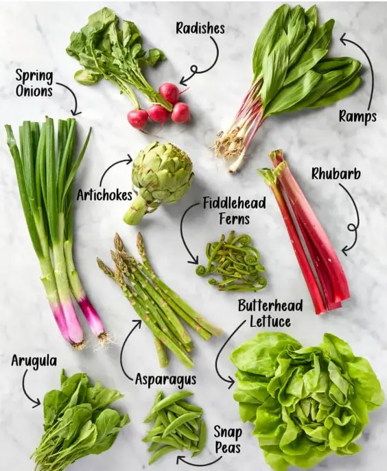 Spring Vegetables